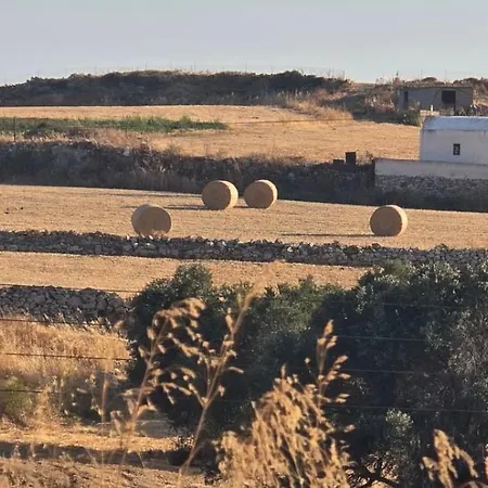 The At Naxos Apartment *